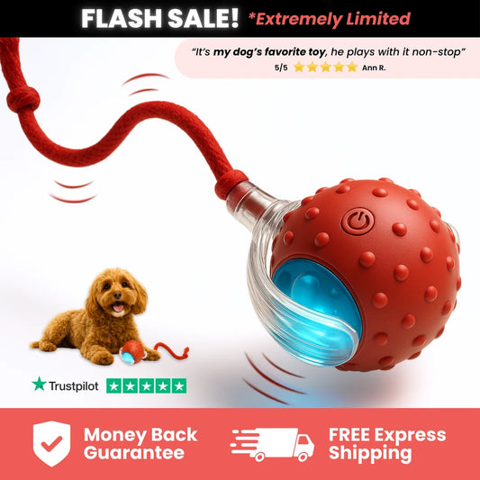 TinyFetch Motion Ball